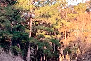 59 Hinson White Dr, Daufuskie Island, SC 29915 - Photo 28