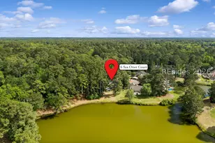 6 Sea Otter Ct, Hilton Head Island, SC 29926 - Photo 8