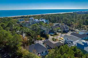 9 Barrier Beach Cove, Hilton Head Island, SC 29928 - Photo 38