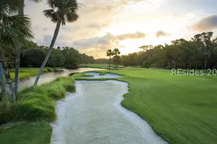 40 Night Heron Ln, Hilton Head Island, SC 29928 - Photo 38