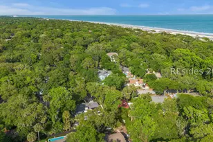 4 Egret St, Hilton Head Island, SC 29928 - Photo 62