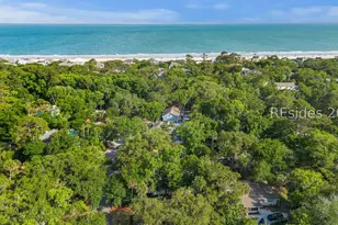 4 Egret St, Hilton Head Island, SC 29928 - Photo 60