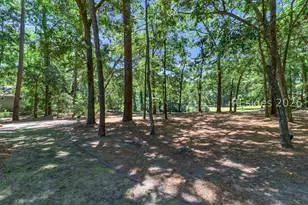 6 Camden Ln, Hilton Head Island, SC 29926 - Photo 38