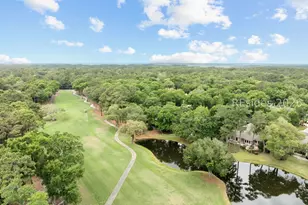 14 Larium Pl, Hilton Head Island, SC 29926 - Photo 44