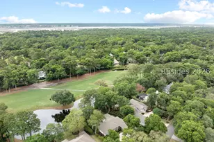 14 Larium Pl, Hilton Head Island, SC 29926 - Photo 42