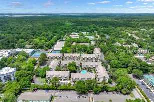 15 Deallyon Ave, Hilton Head Island, SC 29928 - Photo 40
