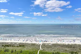 15 Deallyon Ave, Hilton Head Island, SC 29928 - Photo 38