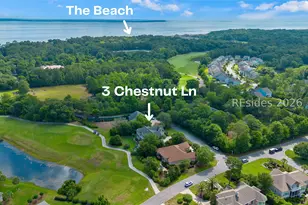 3 Chestnut Ln, Hilton Head Island, SC 29926 - Photo 66