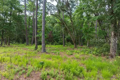 67 Lupine Road, Bluffton, SC 29910 - Photo 8