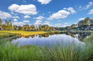 39 Paxton Cir, Bluffton, SC 29910 - Photo 44