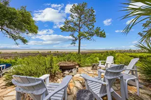 10 Herring Gull Ln, Hilton Head Island, SC 29926 - Photo 66