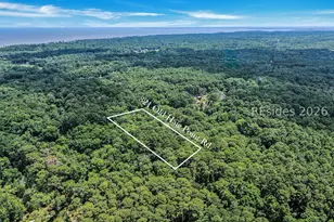 321 Old Haig Point Rd, Daufuskie Island, SC 29915 - Photo 18