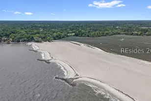 16 Black Gum Pl, Hilton Head Island, SC 29926 - Photo 62
