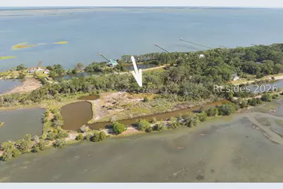 100 Little Horse Island Drive, Saint Helena Island, SC 29920 - Photo 34