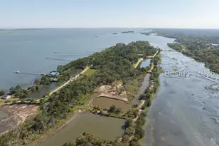 100 Little Horse Is Dr, Saint Helena Island, SC 29920 - Photo 32