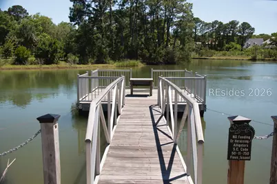 19 Paddocks Boulevard, Hilton Head Island, SC 29926 - Photo 26