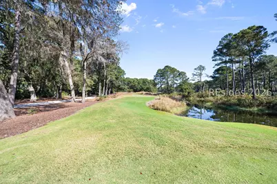 32 Bee Tree Drive, Okatie, SC 29909 - Photo 82