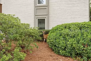 6 Braddock Bluff Dr, Hilton Head Island, SC 29928 - Photo 32