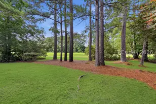 43 Yonges Island Dr, Bluffton, SC 29910 - Photo 60