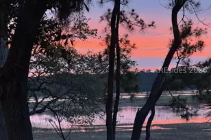 12 Dolphin Ln, Okatie, SC 29909 - Photo 60