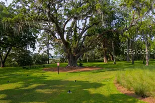 673 Danner Dr, Okatie, SC 29909 - Photo 62