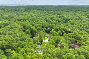 30 Sweet Bay Ln, Hilton Head Island, SC 29926 - Photo 62
