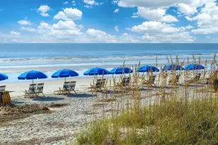 8 Pine Ct, Hilton Head Island, SC 29928 - Photo 60