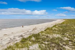 10 Drayton Pl, Hilton Head Island, SC 29928 - Photo 82