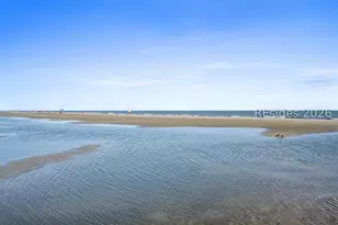 25 Deallyon Ave, Hilton Head Island, SC 29928 - Photo 36