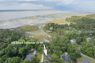 203 Black Skimmer Dr W, Beaufort, SC 29907 - Photo 1