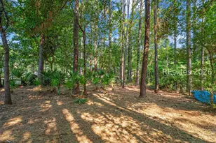 47 Heritage Lakes Dr, Bluffton, SC 29910 - Photo 44