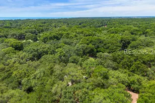 9 Fort Walker Dr, Hilton Head Island, SC 29928 - Photo 60