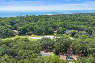 4 Robbers Row, Hilton Head Island, SC 29928 - Photo 56