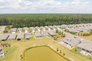 859 Destiny Dr, Bluffton, SC 29909 - Photo 48
