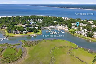 8 Braddock Bluff Dr, Hilton Head Island, SC 29928 - Photo 48