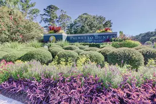 9 Man-O-War, Hilton Head Island, SC 29928 - Photo 14