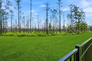 188 Red Dogwood Ln, Hardeeville, SC 29927 - Photo 30