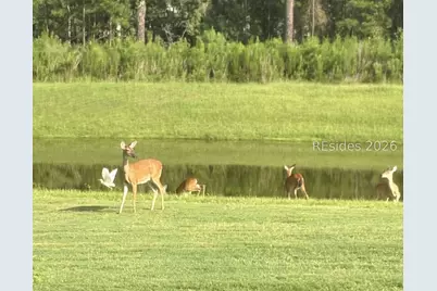 586 Weekend Avenue, Hardeeville, SC 29927 - Photo 2