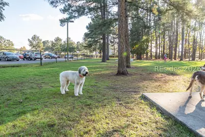 435 Blue Jay Lane, Hardeeville, SC 29909 - Photo 70