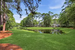 2 Ivory Gull Pl, Hilton Head Island, SC 29926 - Photo 40