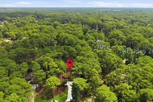 2 Ivory Gull Pl, Hilton Head Island, SC 29926 - Photo 44