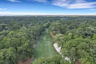 5 Wood Duck Ct, Hilton Head Island, SC 29928 - Photo 58