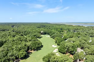 15 Plantation Homes Dr, Daufuskie Island, SC 29915 - Photo 44