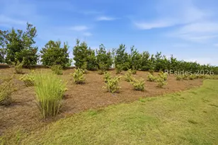 543 Wiry Green Leaf Ln, Ridgeland, SC 29936 - Photo 50