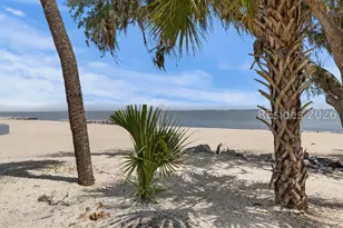 9 Water Thrush Pl, Hilton Head Island, SC 29926 - Photo 58