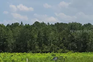 Tbd Toomerville Loop, Hardeeville, SC 29927 - Photo 1