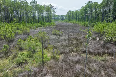 Tbd Carissa Lane, Beaufort, SC 29007 - Photo 34