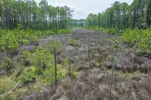 Tbd Carissa Ln, Beaufort, SC 29007 - Photo 34