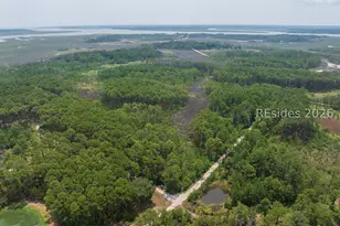 Tbd Carissa Ln, Beaufort, SC 29007 - Photo 10