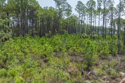 Tbd Carissa Lane, Beaufort, SC 29007 - Photo 8